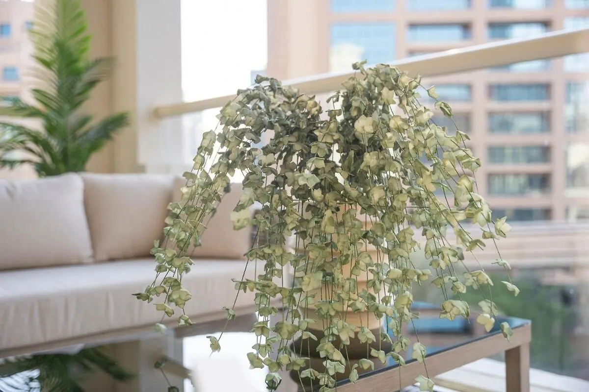 Luxurious 3-Bedroom Apartment Perfect For Families In Palm Jumeirah Dubai